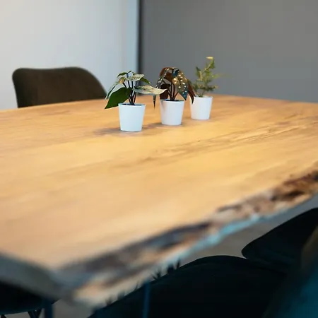 Apartman Business & Family - Zentral, 24h Check-in, Xxl Tv *