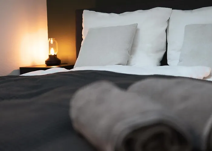 Business & Family - Zentral, 24h Check-in, Xxl Tv * Зигбург